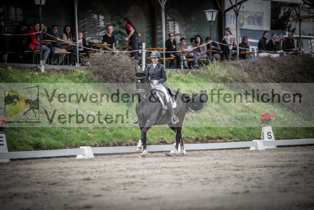 DSC_2669 | equestrian-live-com