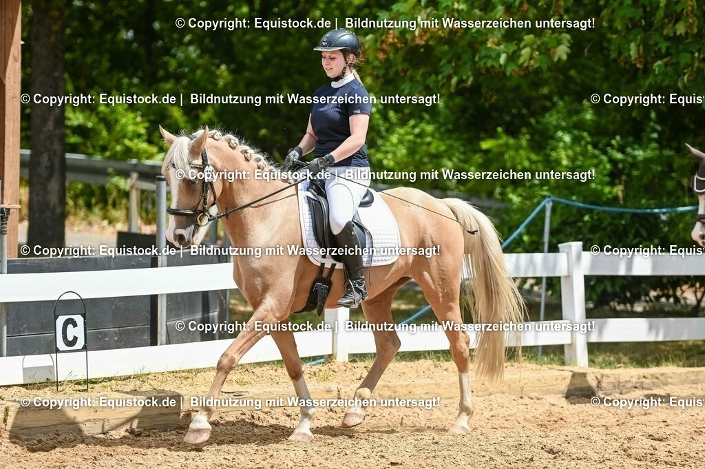 20230715_09_Dressur-WB_0525 | equistock