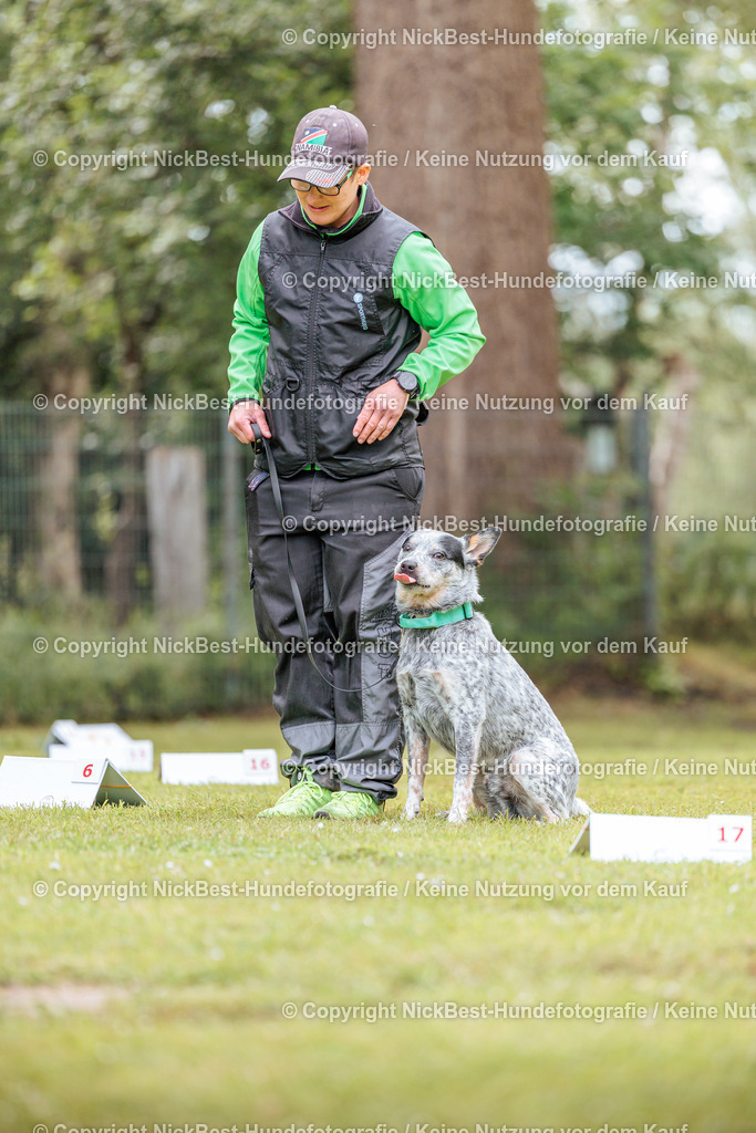 RO-Blumenthal-2026-Nickbest-Hundefotografie-5364 | Dein Hund! Dein Moment! Deine Erinnerungen! Hundefotografie in Bremen Blumenthal. Ich fange die besonderen Momente deines Vierbeiners ein – ob Indoor mit Blitzanlage oder in der freien Natur. Sicher dir dein Moment und dein Termin für eure Erinnerungen.