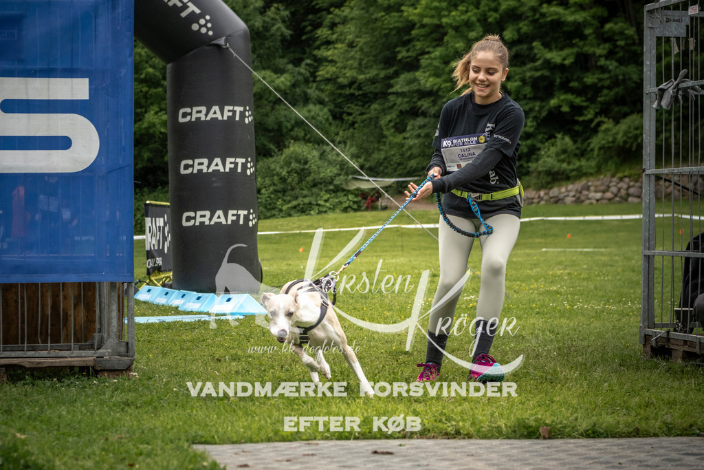 1101_ZZ95814 | kk-dogfotos