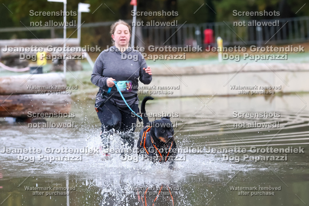 Dog Paparazzi - Strongdog 10-25-6077 | Dog Paparazzi Jeanette Grottendiek Fotografie & Videografie - Realisiert mit Pictrs.com