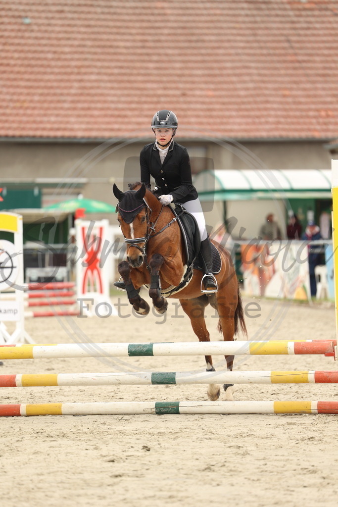 994A8583 | sabrinanicolaifotografie - Realisiert mit Pictrs.com