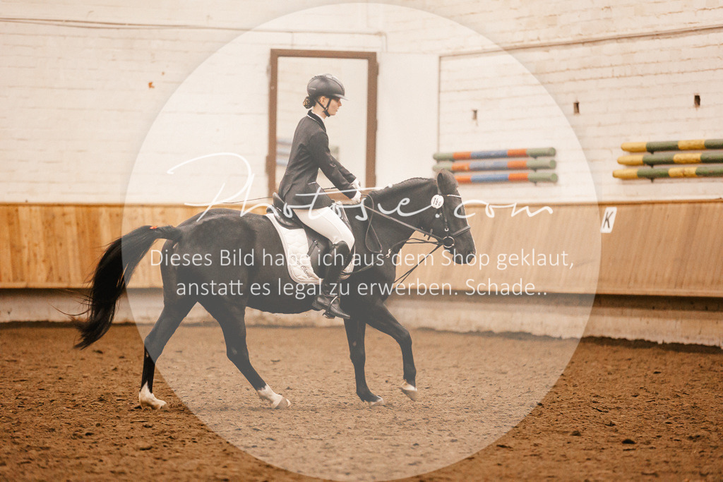 3I6A3960 | Stimmungsvolle Portraits und Reitsportfotografie im Ruhrgebiet und im Münsterland.

Pferdefotografie, Hundefotografie, Tierfotografie, Reportagen, Portraits von Tier und Mensch, Turnierfotografie in Bochum, Recklinghausen, Marl, Haltern am See, Dülmen.. - Realisiert mit Pictrs.com