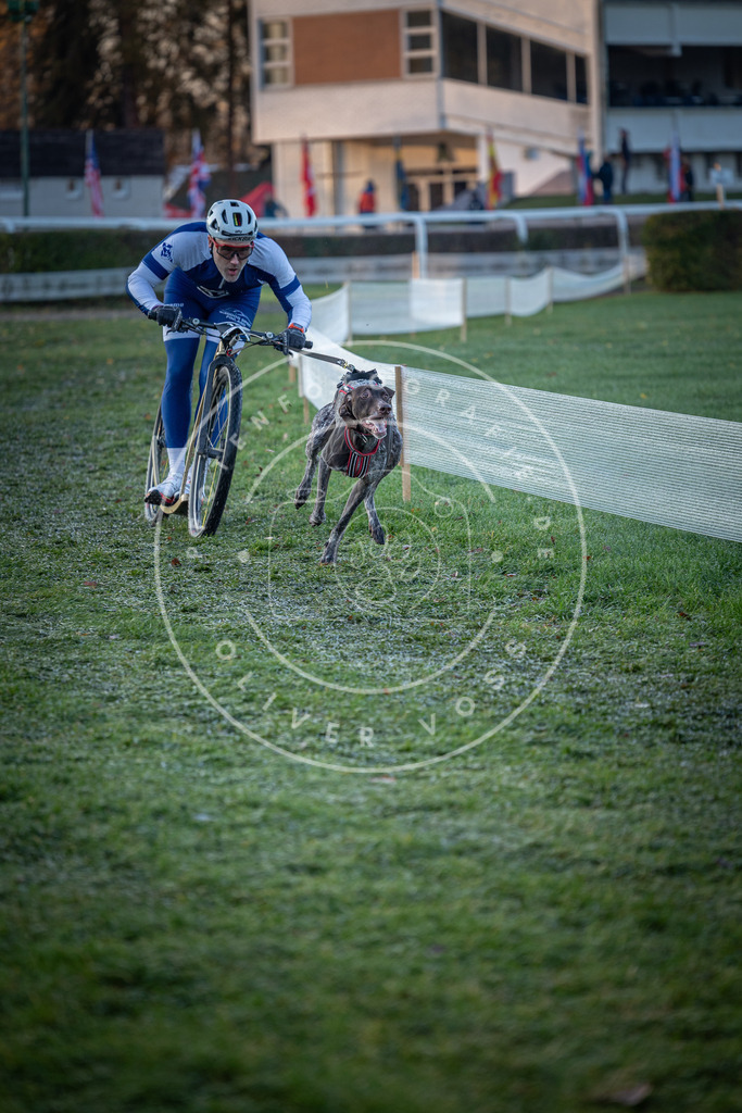 CaniXpix_0L8A1129 | Hundefotografie, Tierfotograf, Pfotenfotografie, Fotoshooting Hund, Hunde Portrait, Hundesport, Hundeportraits, Heideshooting, Hunde, Sportfotograf, Hundefotograf, Turnierhundsport, THS,  - Realisiert mit Pictrs.com