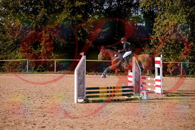 2026_10_03_Siefer-Hof_154659_Z81_66130679 | Professionelle Reitsport-, Turnier- und Eventfotografie von Robert Broda. Galerien mit ausgewählten und bearbeiteten Bildern direkt online ansehen und bestellen.