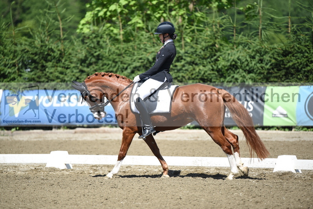 DSC_0262 | equestrian-live-com