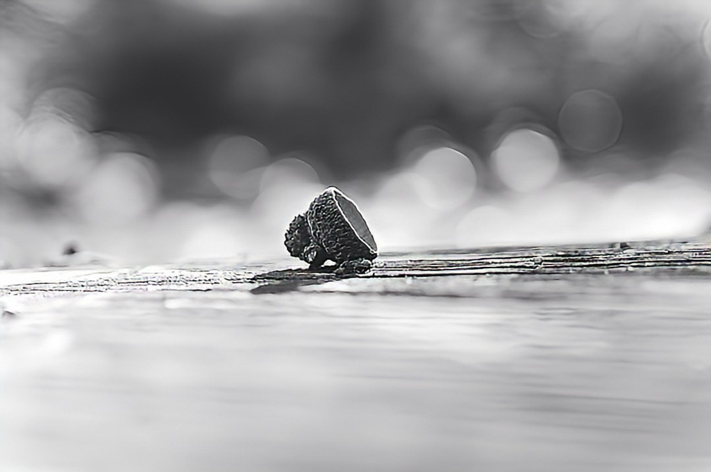 202310111741002023-10-11-18-57-41-148-2 | Kaufen sie online außergewöhnliche Fotografien auf Leinwand Acrylglas Fotoprint Aludibond von holgerweigeltfotografie - Realisiert mit Pictrs.com