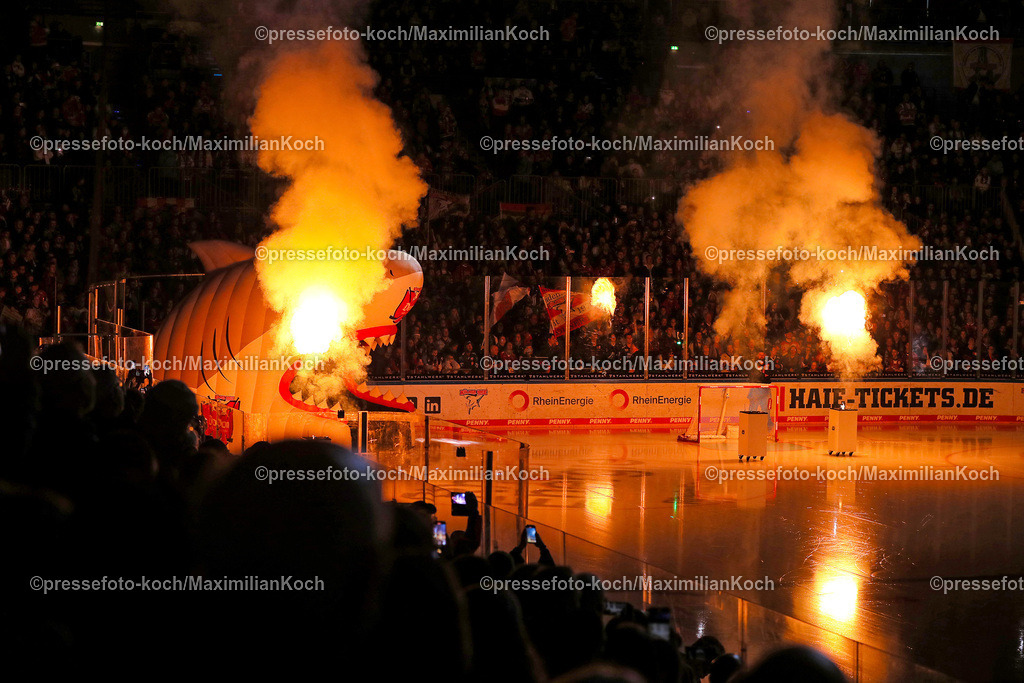 KoeDEL08032402107 | 08.03.2024, Köln, Eishockey, Penny DEL, 52. Spieltag, Lanxess-Arena, Kölner Haie - Adler Mannheim: Symbolbild Feature Einlaufshow vor den vollen Tribünen. Die Mannschaft der Kölner Haie betritt durch eine Feuershow das Eis.