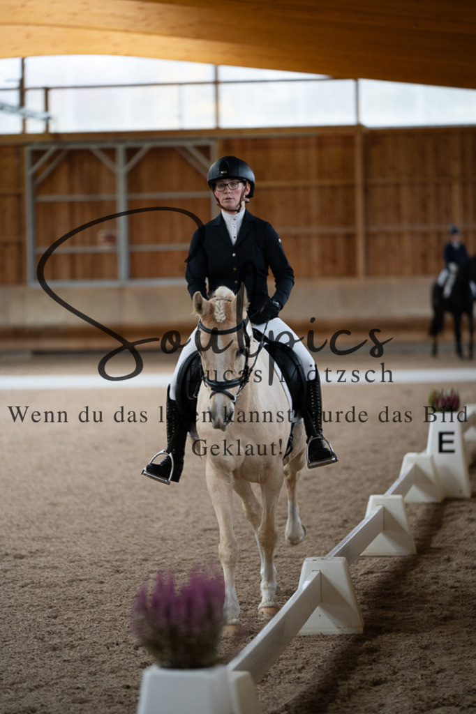 A7V02185 | Pferdefotograf