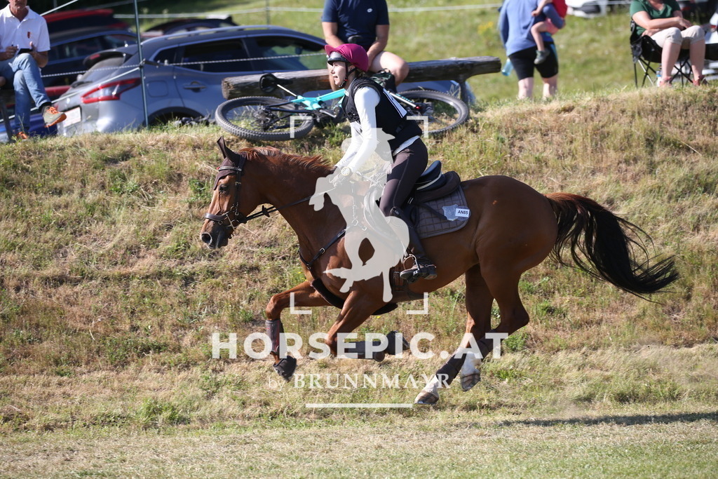 DL2Q2173 | Willkommen bei Brunnmayr - Design & Fotografie – Ihrem Spezialisten für Reitturniere und Pferdeveranstaltungen in Oberösterreich, Salzburg und Bayern! Seit über 17 Jahren sind wir leidenschaftlich dabei.