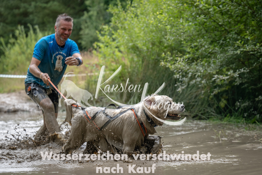 1437_ZZ92290 | kk-dogfotos