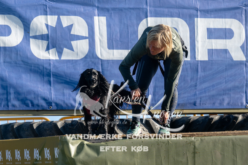 0841_ZZ94623 | kk-dogfotos