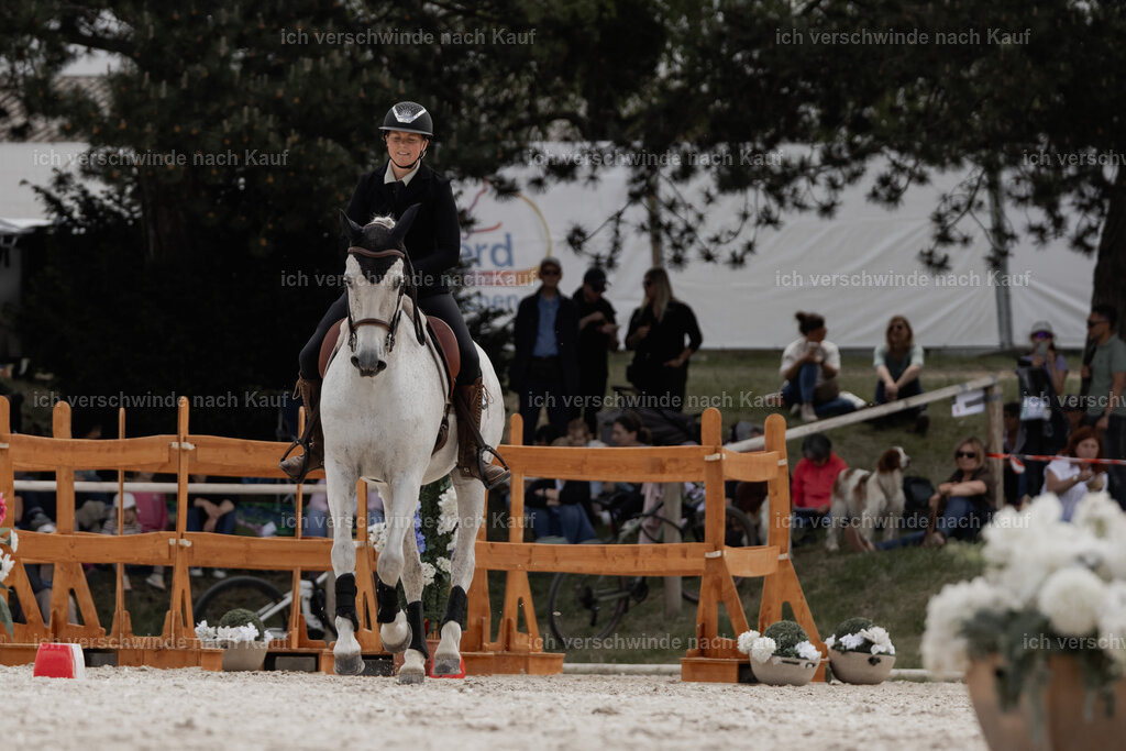 WE_ST_Stoib_312_PI2025_1088 | Pferd International München 2025