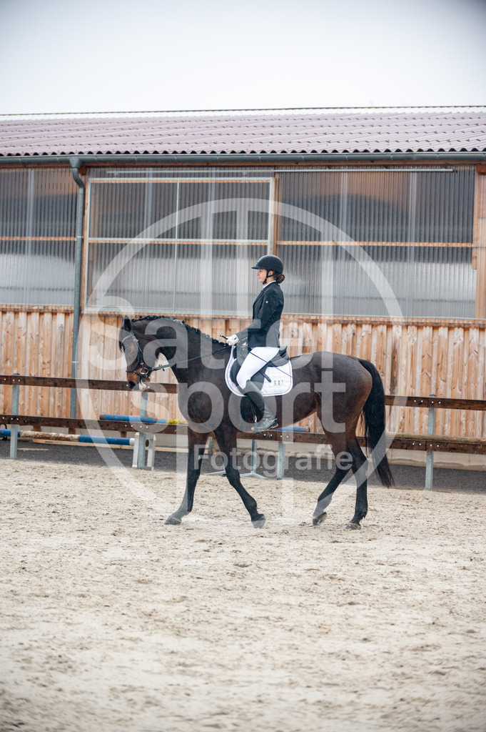 DSC_5320 | sattelsport - Realisiert mit Pictrs.com