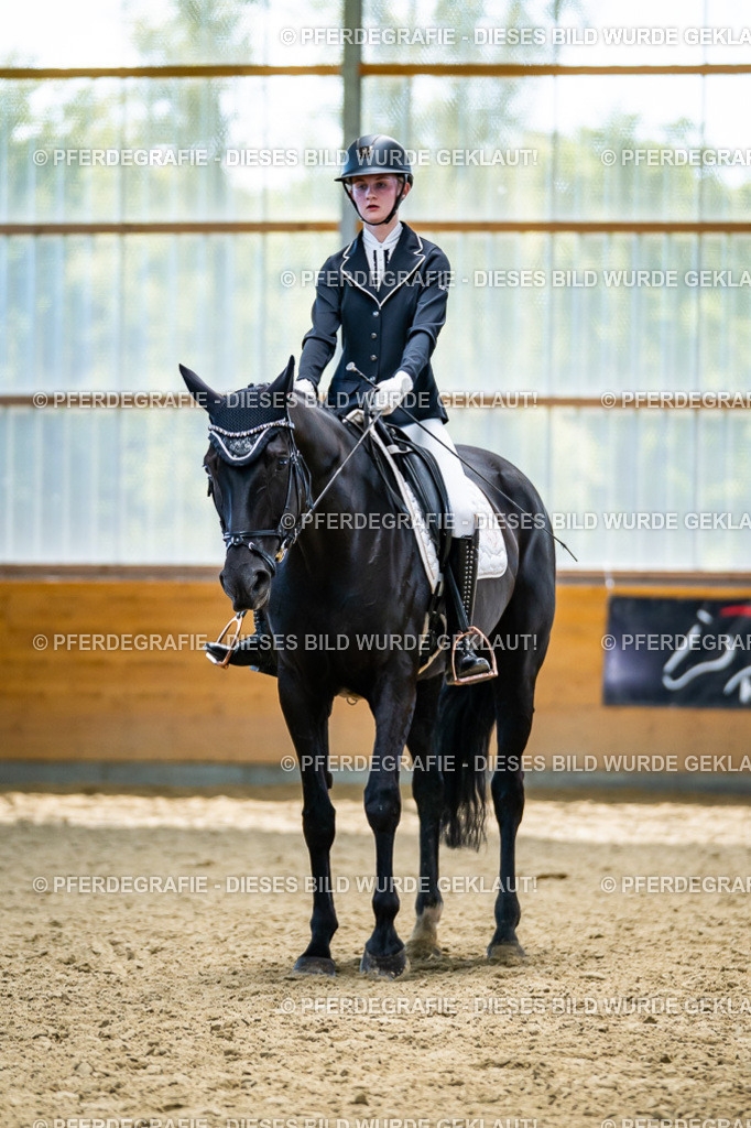 DSC05972 | Pferdegrafie