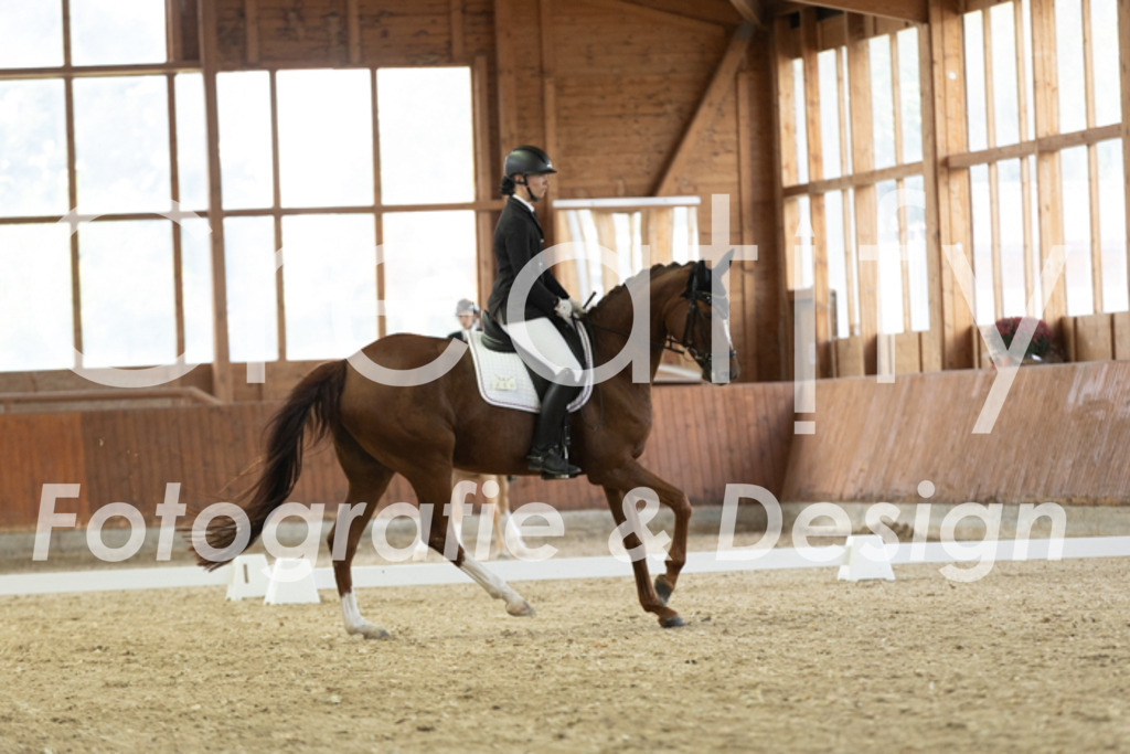 IMG_1242 | Creatify Fotografie