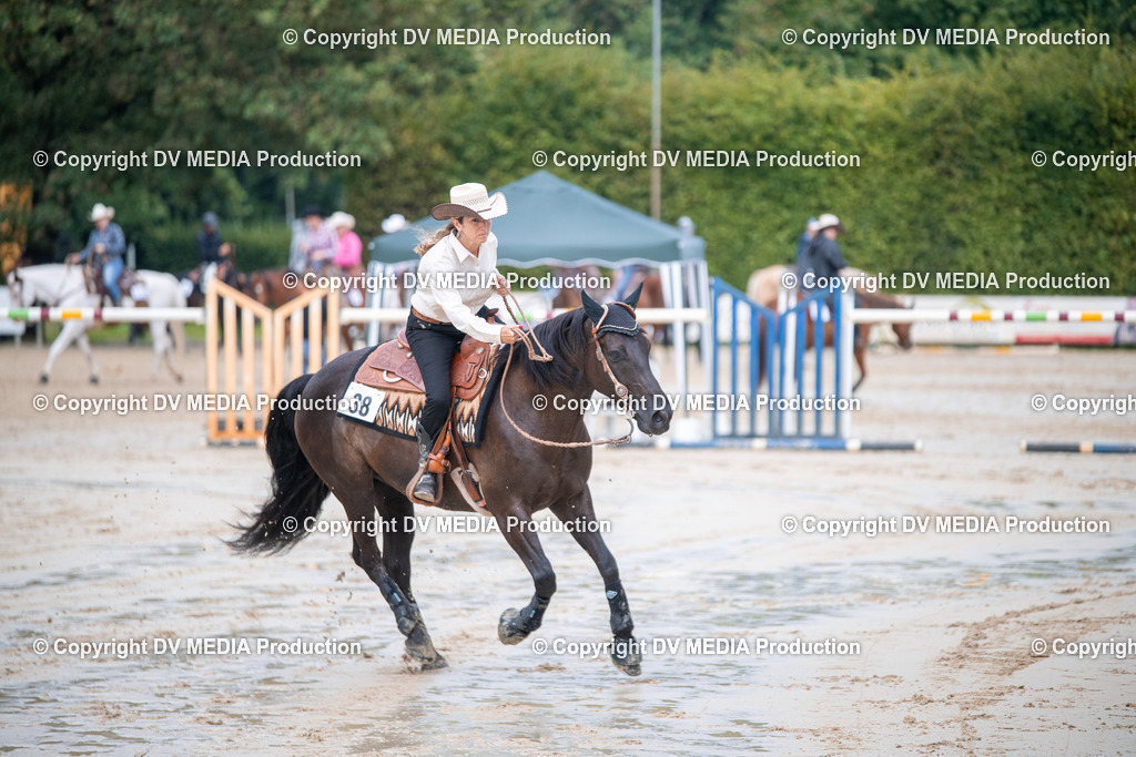 ZS2_4232 | dv-media-shop - Realisiert mit Pictrs.com