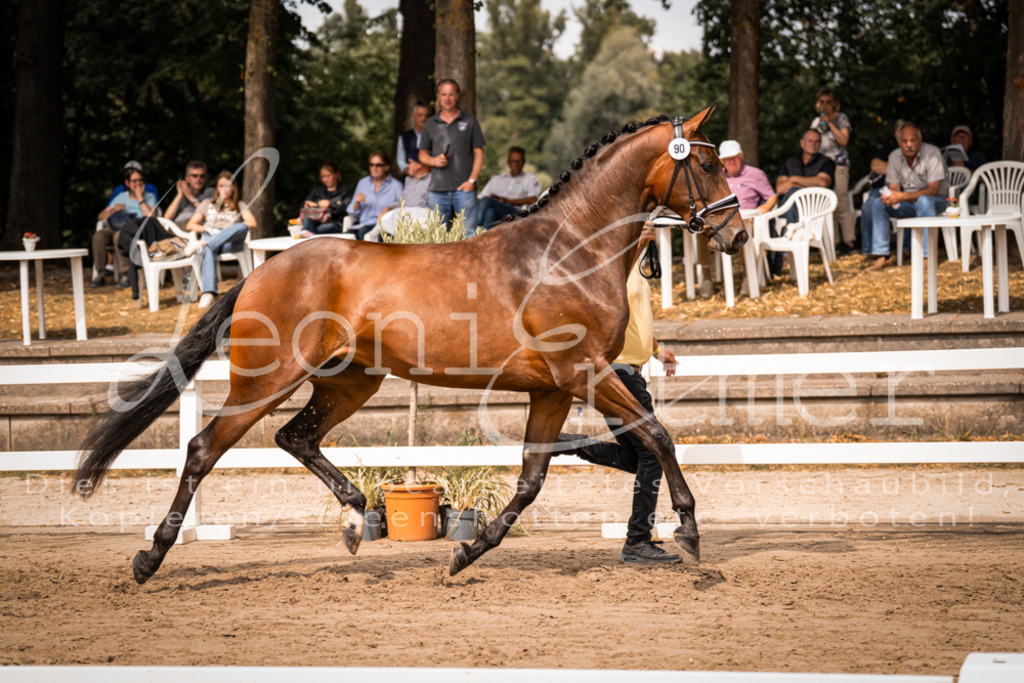 6.Fr00061 | Leoni Ertmer Photography - Realisiert mit Pictrs.com