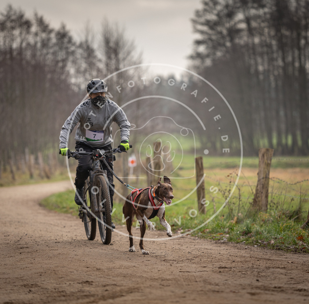 Pfotenfotografie_DV3A1632 | Hundefotografie, Tierfotograf, Pfotenfotografie, Fotoshooting Hund, Hunde Portrait, Hundesport, Hundeportraits, Heideshooting, Hunde, Sportfotograf, Hundefotograf, Turnierhundsport, THS,  - Realisiert mit Pictrs.com