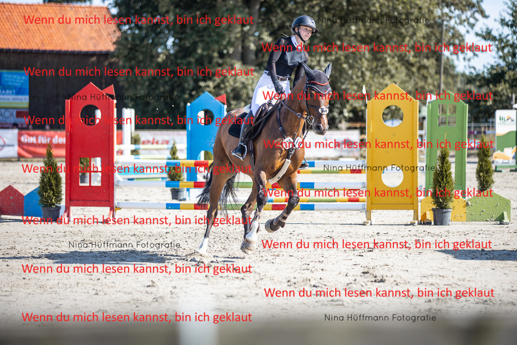 BK1A7145 | Turnierbilder Turnierfotos Nina Hüffmann Turnierfotografie Pferdefotografie Tierzeichnung Haustierzeichnung Pferdezeichnung Hundezeichnung Videograf  - Realisiert mit Pictrs.com