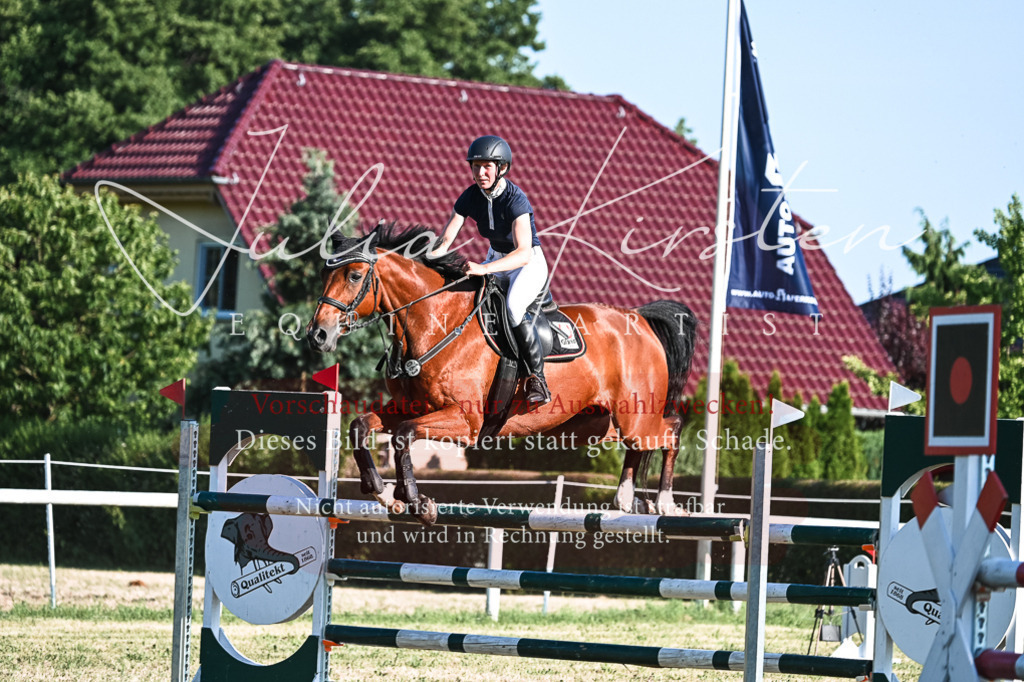 DSC_2690 | Pferde- und Turnierfotografie in Westsachsen. Pferdeportraits, Auftragszeichnungen und intuitive Kunst.