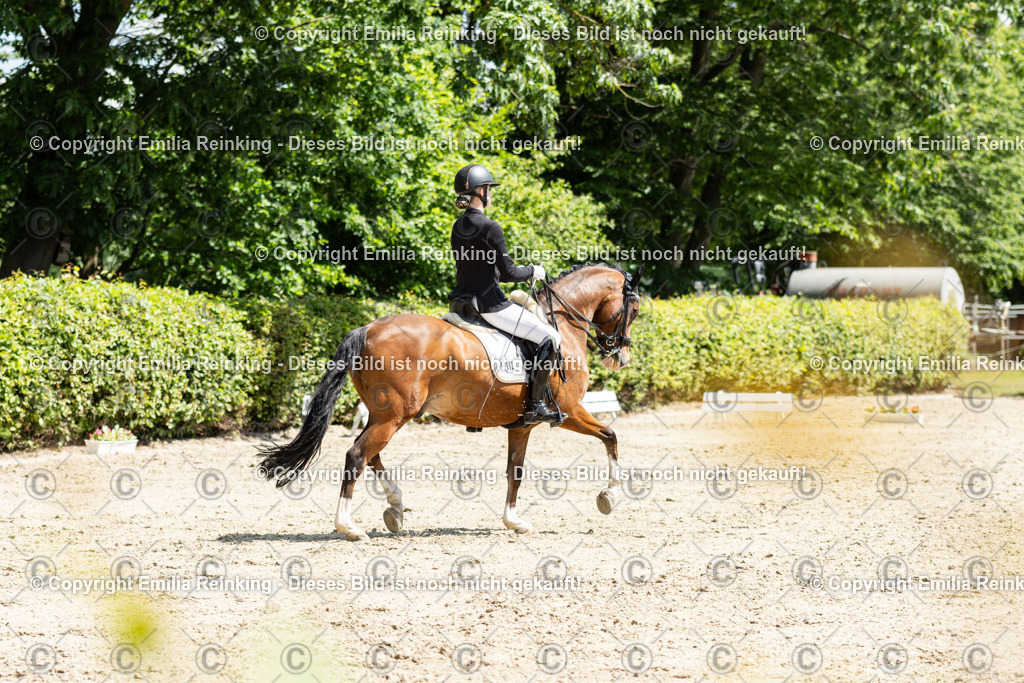 CL5A8859 | Emilia Reinking Fotografie - Realisiert mit Pictrs.com