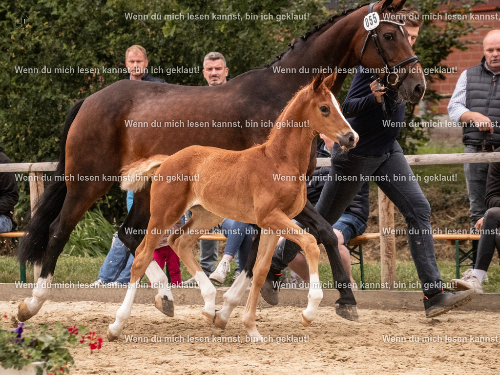 A10I5513 | photographylinaismer - Realisiert mit Pictrs.com