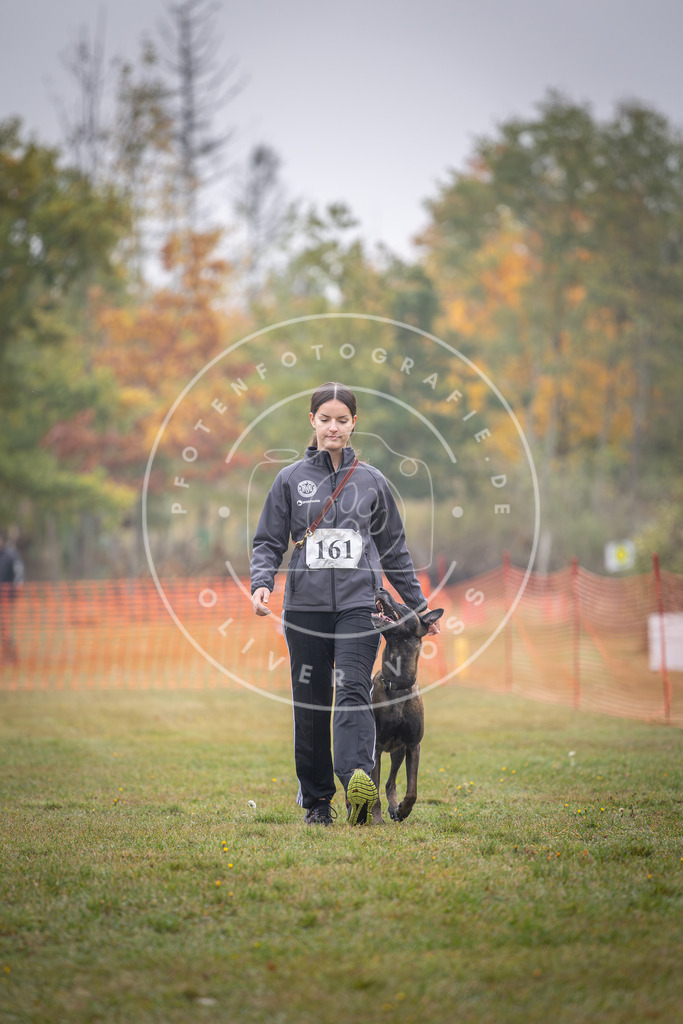 Pfotenfotografie_DV3A8782 | Hundefotografie, Tierfotograf, Pfotenfotografie, Fotoshooting Hund, Hunde Portrait, Hundesport, Hundeportraits, Heideshooting, Hunde, Sportfotograf, Hundefotograf, Turnierhundsport, THS,  - Realisiert mit Pictrs.com