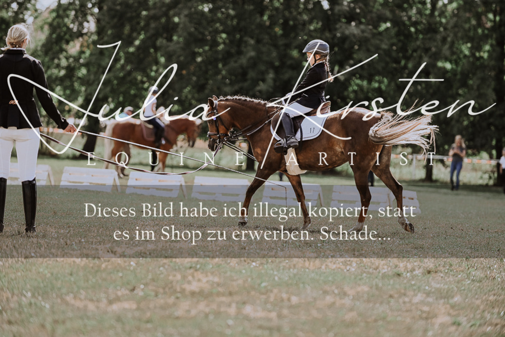 DSC_7604 | Pferde- und Turnierfotografie in Westsachsen. Pferdeportraits, Auftragszeichnungen und intuitive Kunst.