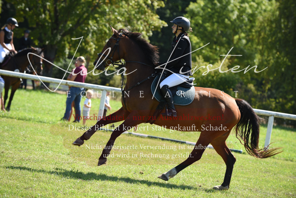 DSC_9331 | Pferde- und Turnierfotografie in Westsachsen. Pferdeportraits, Auftragszeichnungen und intuitive Kunst.