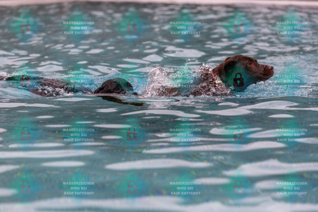 _HP_6304_1000o | HetPix, HetPix Fotodesign, Fotografie, Fotodesign, Webshop, Sportfotografie, Portraitfotografie, Onlineshop, Sportfotografie, Polch, Motorsportfotografie, Eventfotografie