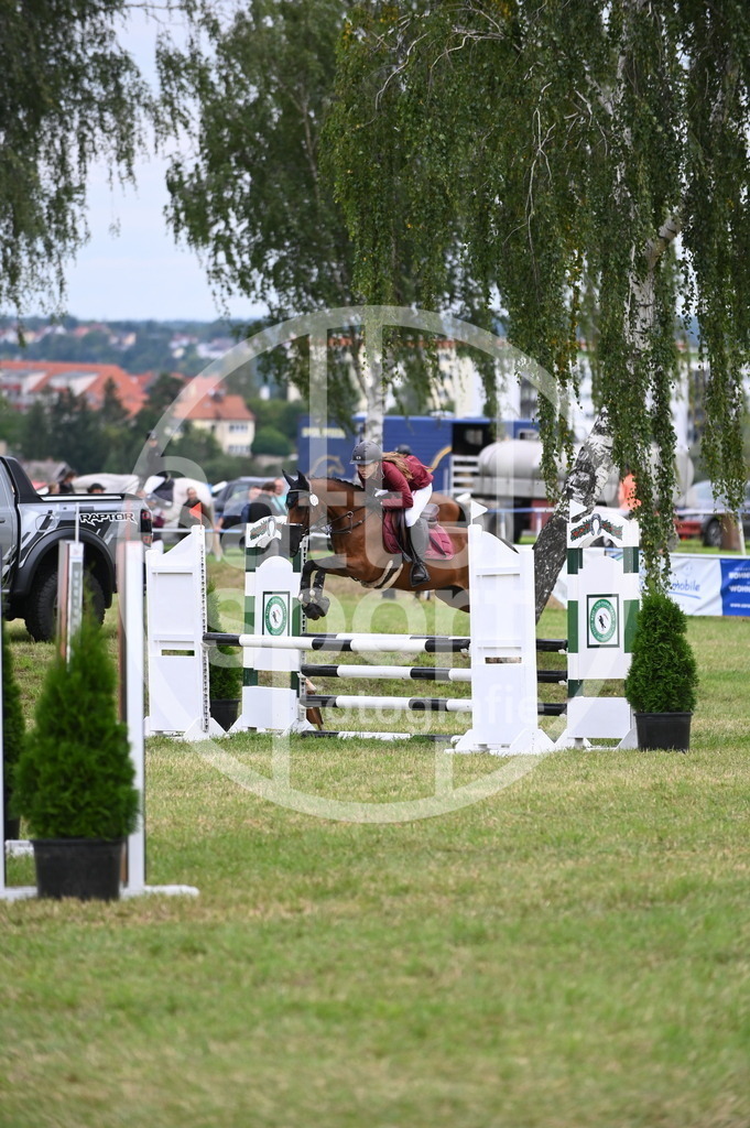 DSC_5059 | sattelsport - Realisiert mit Pictrs.com