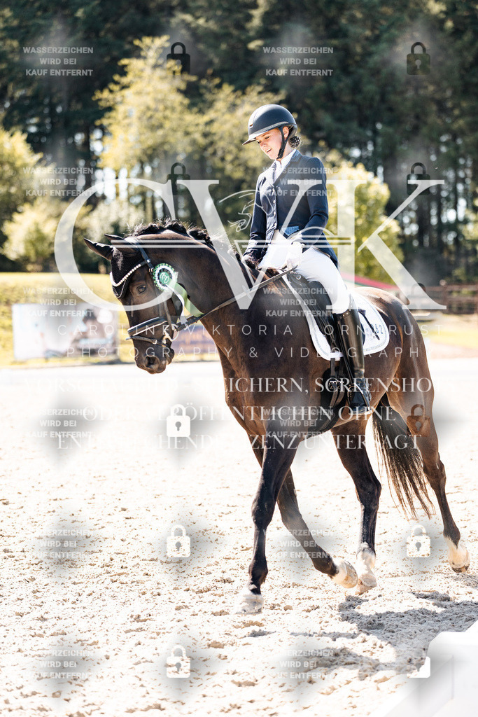CK904208 | Turnierfotografie Pferdefotografie Trier Rheinland-Pfalz Pferdesport Reitsport Tierfotografie Sportfotografie Pferdevideo Pferdevideografie Equestrianvideography equestrianphotography  - Realisiert mit Pictrs.com
