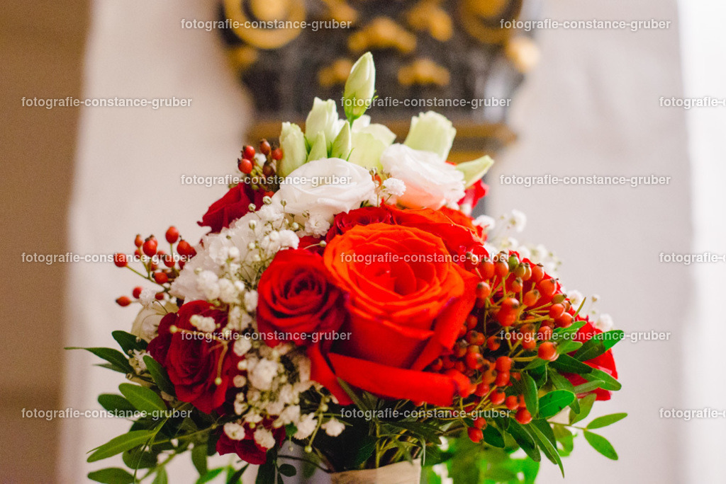 1013 | Fotografie Constance Gruber - Realisiert mit Pictrs.com