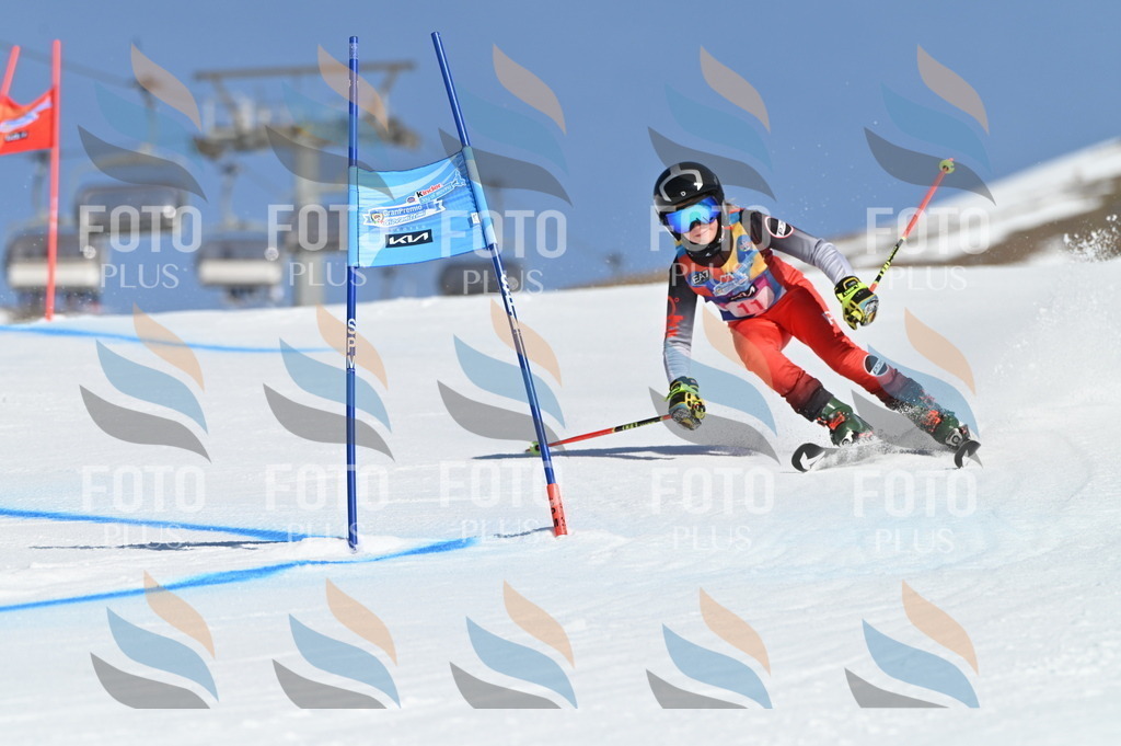 BGV_7776 | holidayphoto