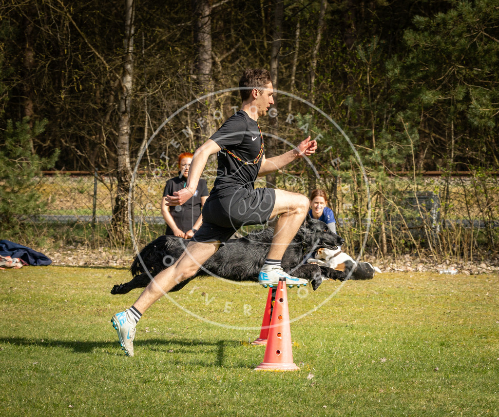 Pfotenfotografie_DV3A2694 | Hundefotografie, Tierfotograf, Pfotenfotografie, Fotoshooting Hund, Hunde Portrait, Hundesport, Hundeportraits, Heideshooting, Hunde, Sportfotograf, Hundefotograf, Turnierhundsport, THS,  - Realisiert mit Pictrs.com