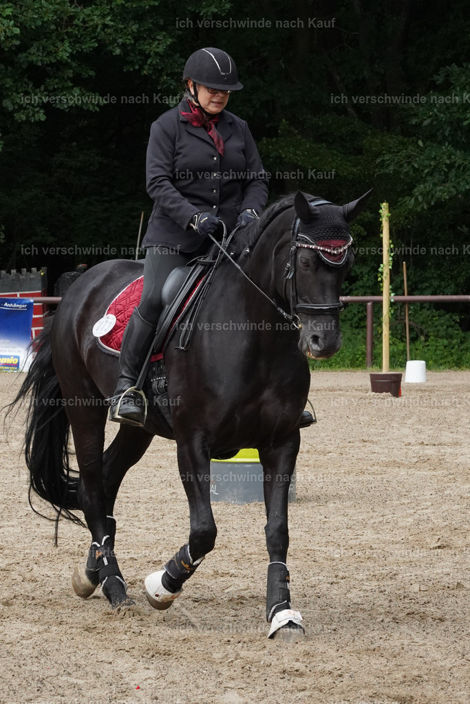KlasseE_Lucie458 | working equitationturnier fotograf videograf stoibphotography marixx film working equitation deutschland reitsport turnierfotografie eventfotografie equestrian events