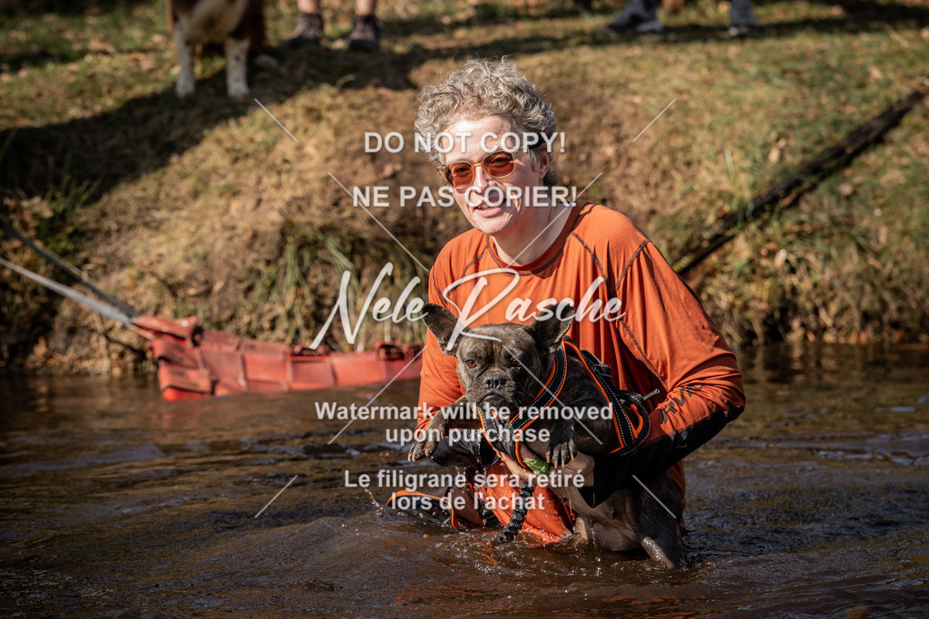 nelerasche_FS1300-1330_256 | nelerasche