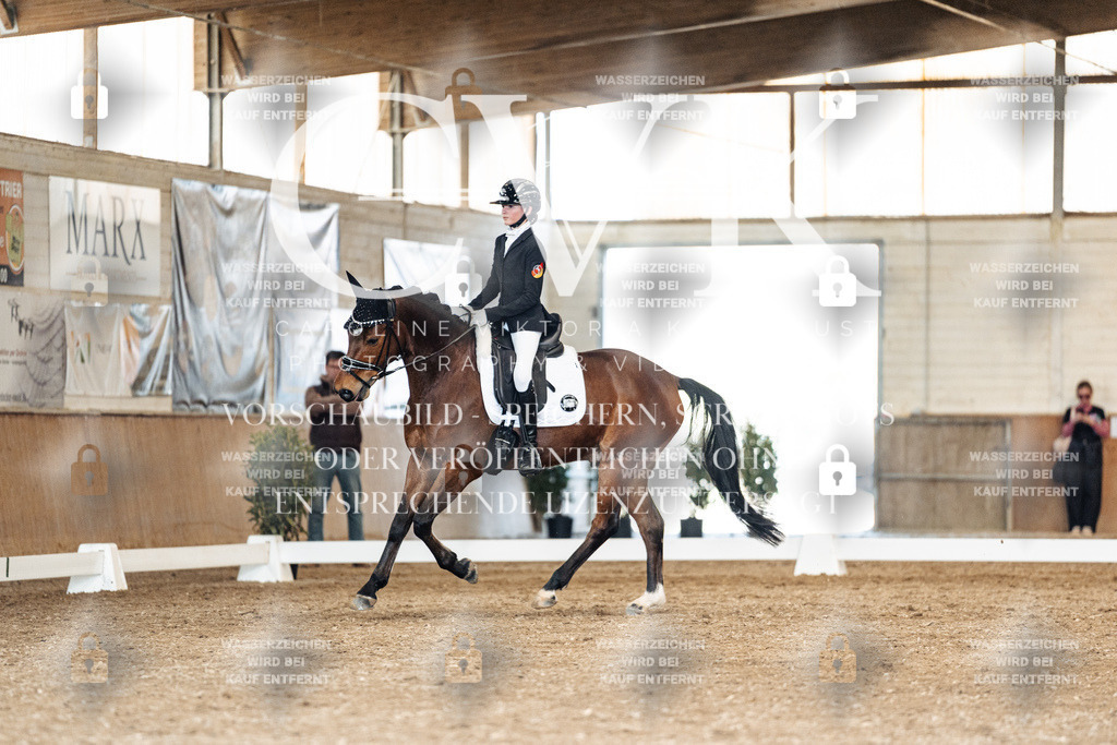 CK901504 | Turnierfotografie Pferdefotografie Trier Rheinland-Pfalz Pferdesport Reitsport Tierfotografie Sportfotografie Pferdevideo Pferdevideografie Equestrianvideography equestrianphotography  - Realisiert mit Pictrs.com