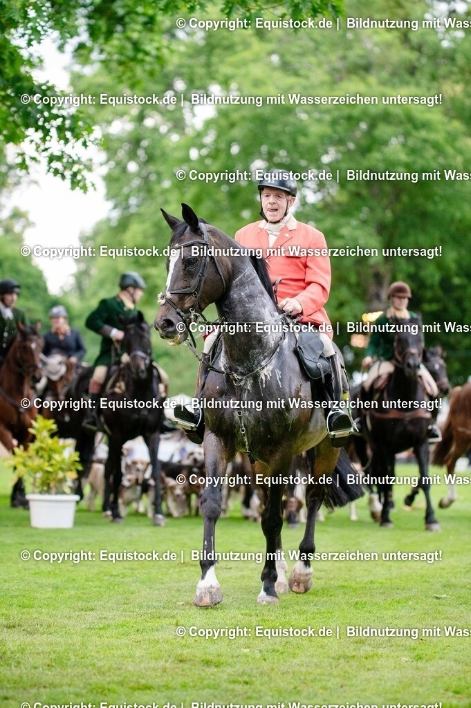 20250606_Lange-Pferdenacht_0526 | Foto: Thomas Hartig