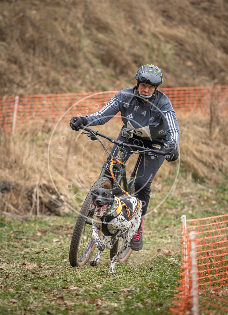Pfotenfotografie_DV3A6774 | Hundefotografie, Tierfotograf, Pfotenfotografie, Fotoshooting Hund, Hunde Portrait, Hundesport, Hundeportraits, Heideshooting, Hunde, Sportfotograf, Hundefotograf, Turnierhundsport, THS,  - Realisiert mit Pictrs.com