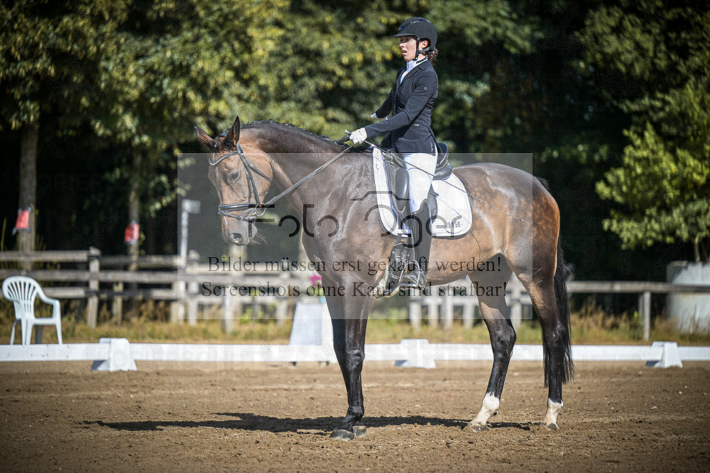 DOS_3412 | Entdecke hochwertige Reitturnierfotos von Foto Oger. Professionell, emotional und authentisch – jetzt Lieblingsmomente im Shop bestellen.Deutschlandweite Turnierfotografie. - Realisiert mit Pictrs.com