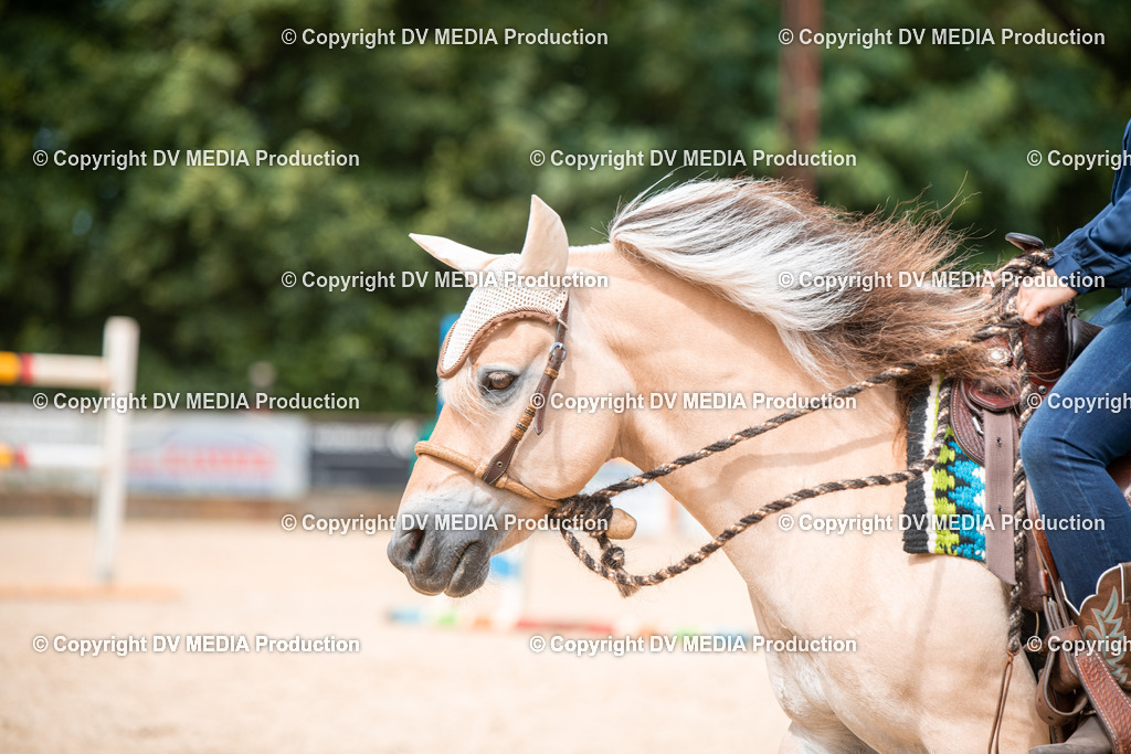 EWP_6763 | dv-media-shop - Realisiert mit Pictrs.com