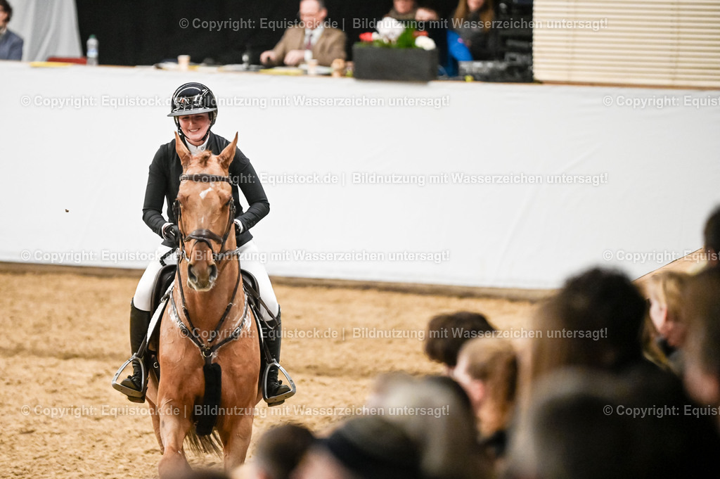 20260307_Hengstvorstellung-Marbach_0171 | equistock