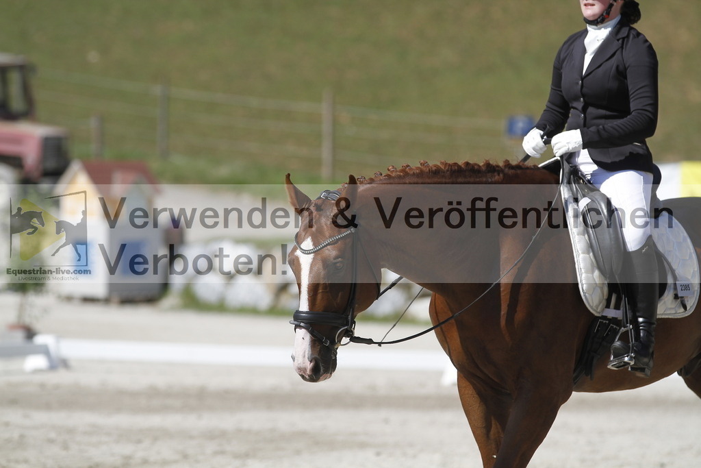 _MG_0660 | equestrian-live-com