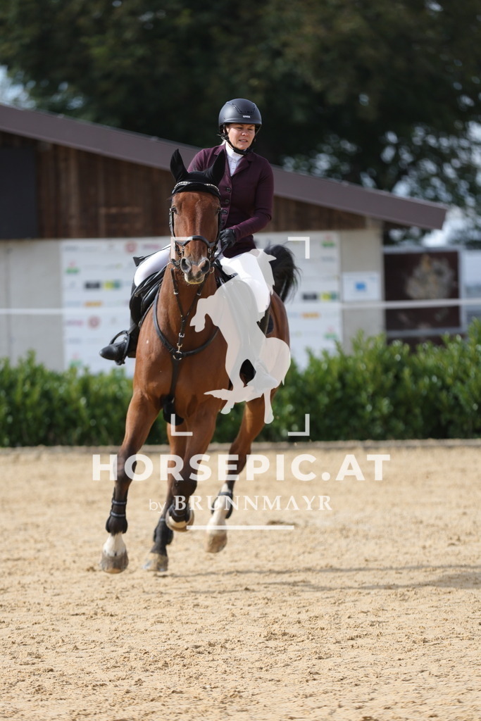 0P6A4440 | Willkommen bei Brunnmayr - Design & Fotografie – Ihrem Spezialisten für Reitturniere und Pferdeveranstaltungen in Oberösterreich, Salzburg und Bayern! Seit über 17 Jahren sind wir leidenschaftlich dabei.