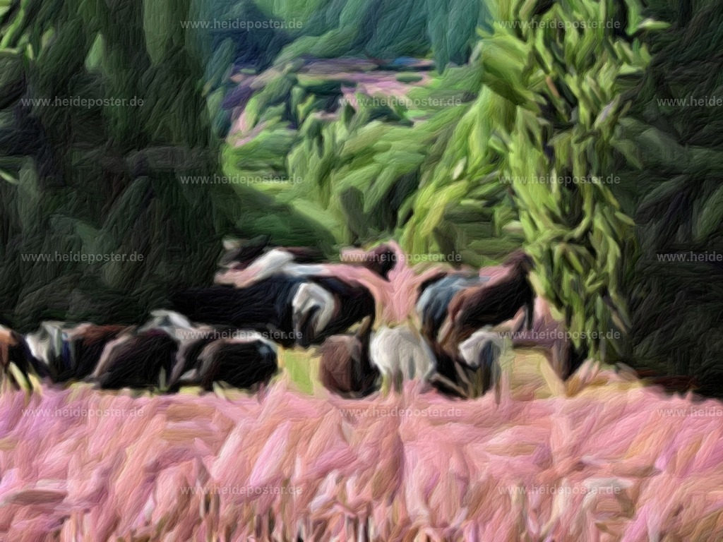 brushed_DSCN6414 | Poster aus der Lüneburger Heide - Realisiert mit Pictrs.com