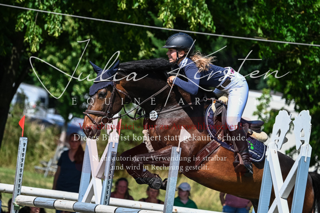 DSC_1305 | Pferde- und Turnierfotografie in Westsachsen. Pferdeportraits, Auftragszeichnungen und intuitive Kunst.