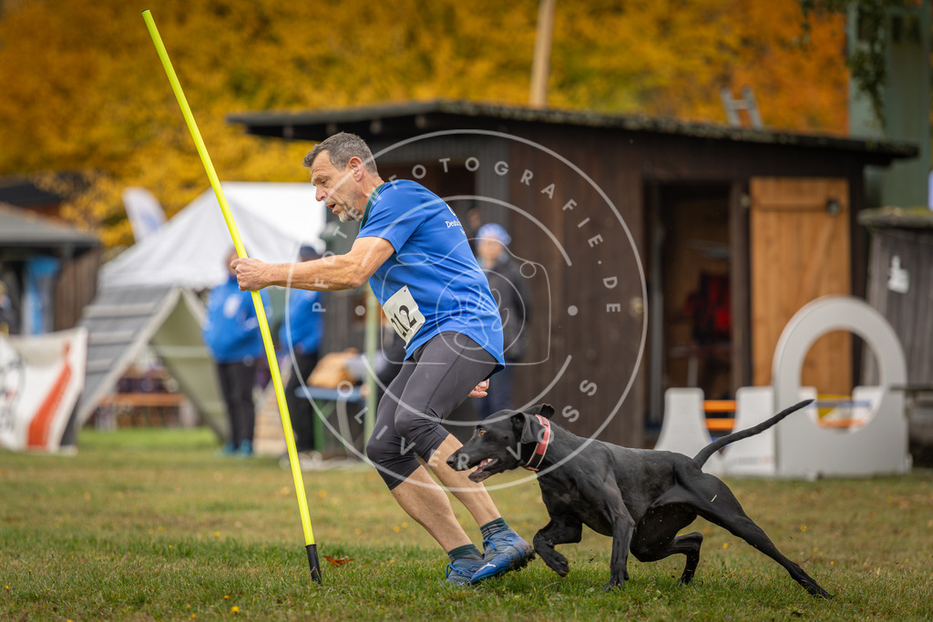 Pfotenfotografie_DV3A1925 | Hundefotografie, Tierfotograf, Pfotenfotografie, Fotoshooting Hund, Hunde Portrait, Hundesport, Hundeportraits, Heideshooting, Hunde, Sportfotograf, Hundefotograf, Turnierhundsport, THS,  - Realisiert mit Pictrs.com