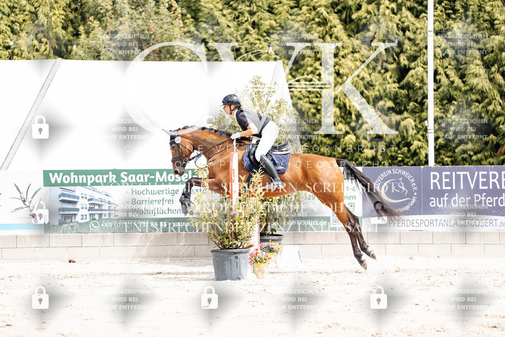 CK906527 | Turnierfotografie Pferdefotografie Trier Rheinland-Pfalz Pferdesport Reitsport Tierfotografie Sportfotografie Pferdevideo Pferdevideografie Equestrianvideography equestrianphotography  - Realisiert mit Pictrs.com
